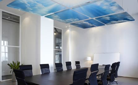 Acoustic Panel Ceilings